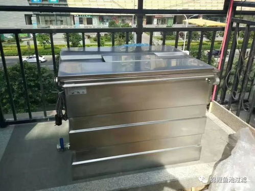 庭院魚(yú)池水清魚(yú)靚的秘密,選對(duì)過(guò)濾系統(tǒng)功不可沒(méi)