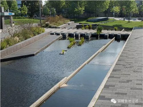 奧利仕大型魚(yú)池過(guò)濾器 奧利仕 在線(xiàn)咨詢(xún) 內(nèi)蒙古魚(yú)池過(guò)濾器